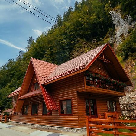 Casa Cheile Dâmbovicioarei - Cabana 2 Dâmbovicioara Exterior foto