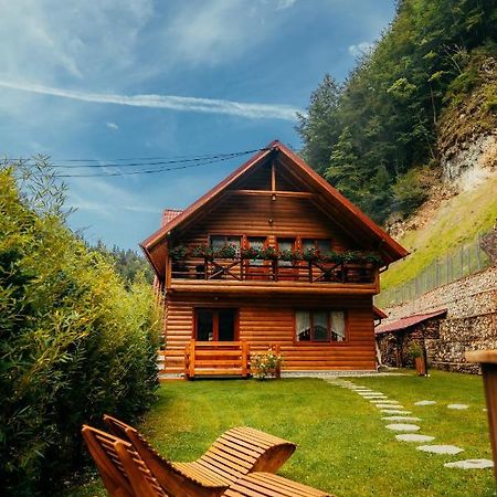 Casa Cheile Dâmbovicioarei - Cabana 2 Dâmbovicioara Exterior foto