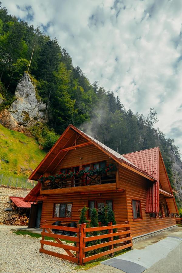 Casa Cheile Dâmbovicioarei - Cabana 2 Dâmbovicioara Exterior foto